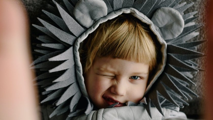 Izdelaj ježka iz kostanja