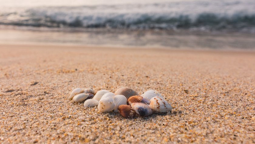 DIY: Kozarec morskih spominov