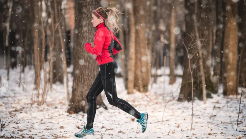 Preteči pot po Savskem drevoredu