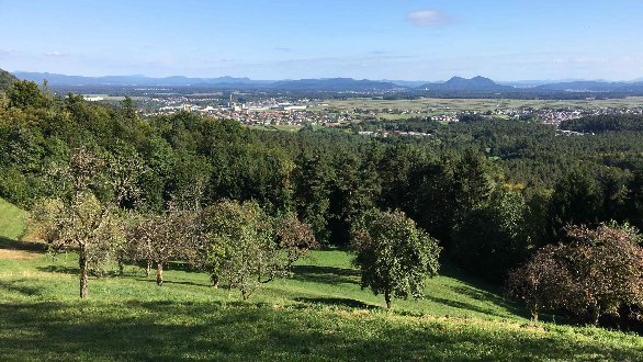 Razgled med vponom na Plandico nad Kranjem.