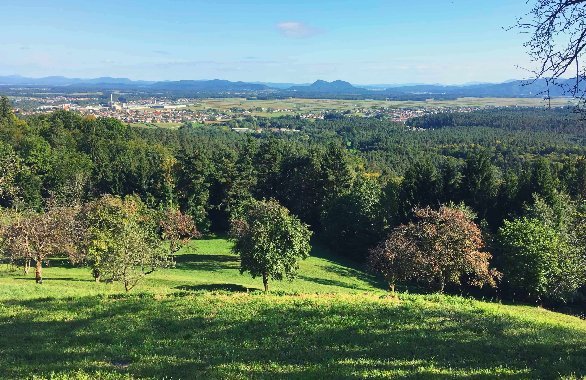 Pot na Planico nad Kranjem
