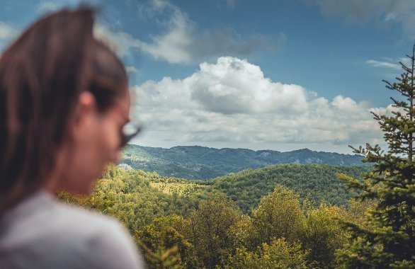 Pot na Špičasti hrib