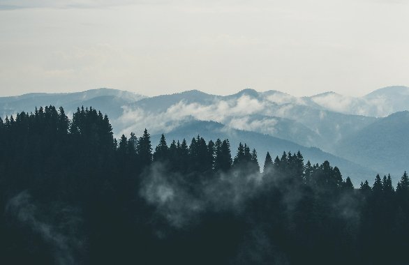 Učna pot Trstenik »Pot pod Storžičem« 