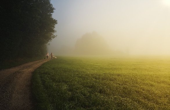 Zoisova učna pot v Predosljah